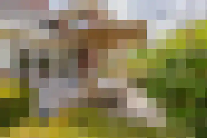 Mandenmakerskade 6 Lisse thumbnail 65