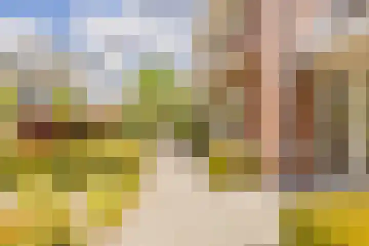 Mandenmakerskade 6 Lisse thumbnail 66