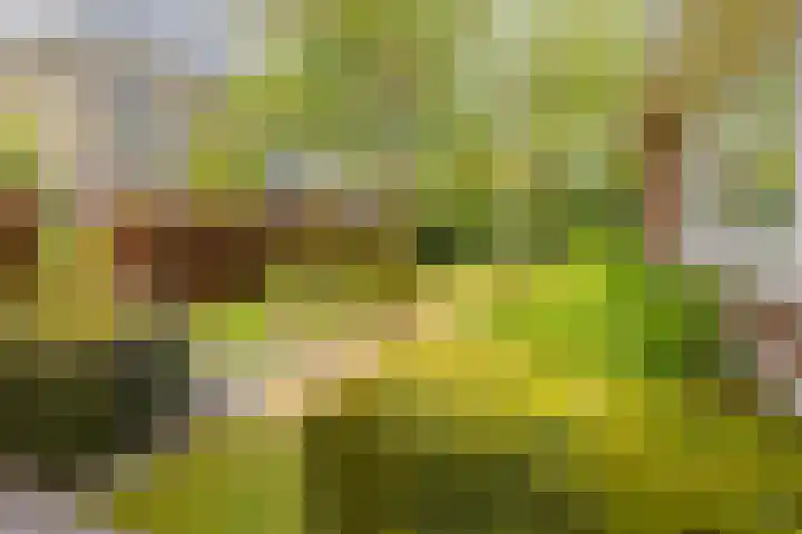 Mandenmakerskade 6 Lisse thumbnail 67