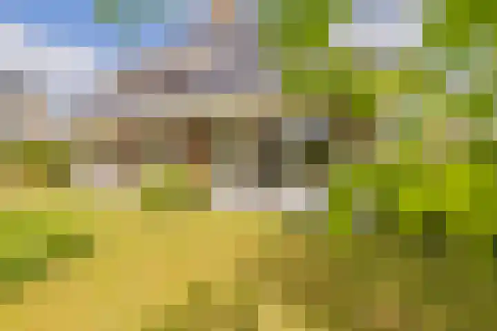 Mandenmakerskade 6 Lisse thumbnail 68