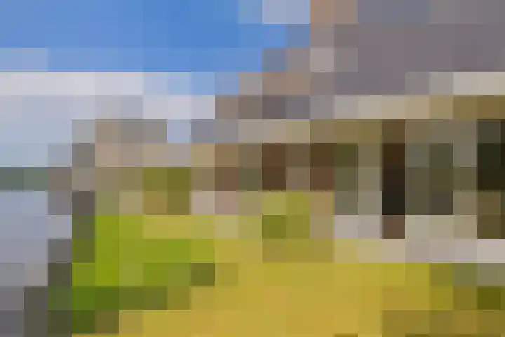 Mandenmakerskade 6 Lisse thumbnail 69