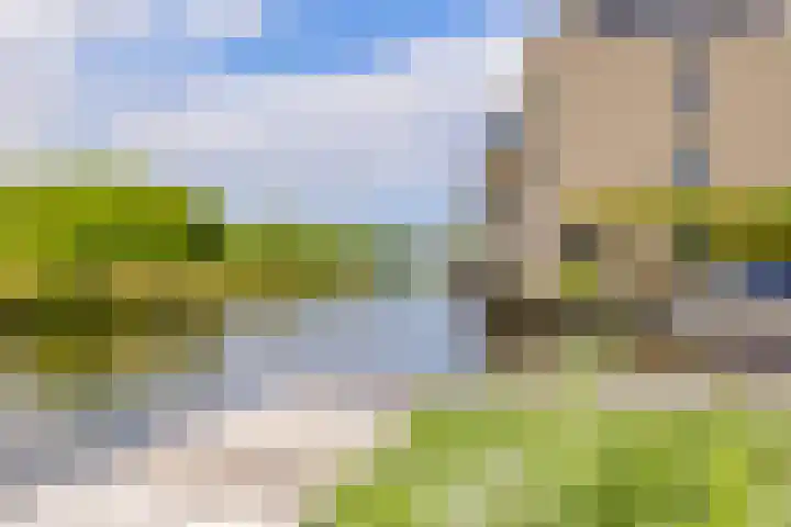 Mandenmakerskade 6 Lisse thumbnail 70