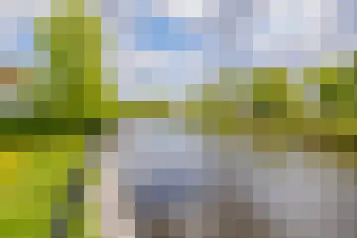 Mandenmakerskade 6 Lisse thumbnail 73