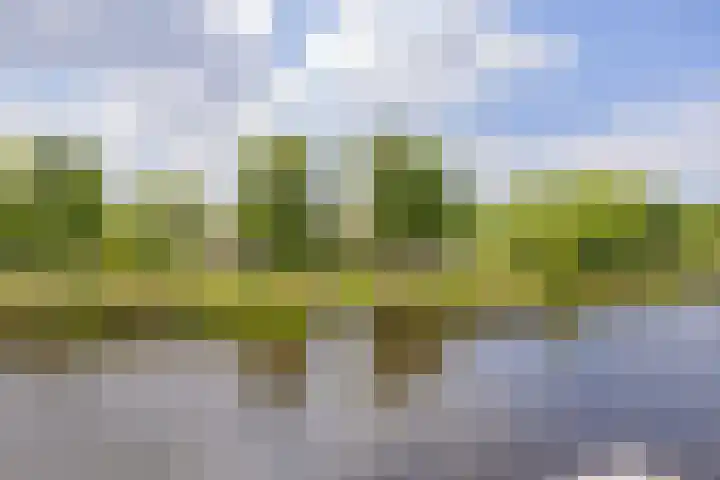 Mandenmakerskade 6 Lisse thumbnail 74