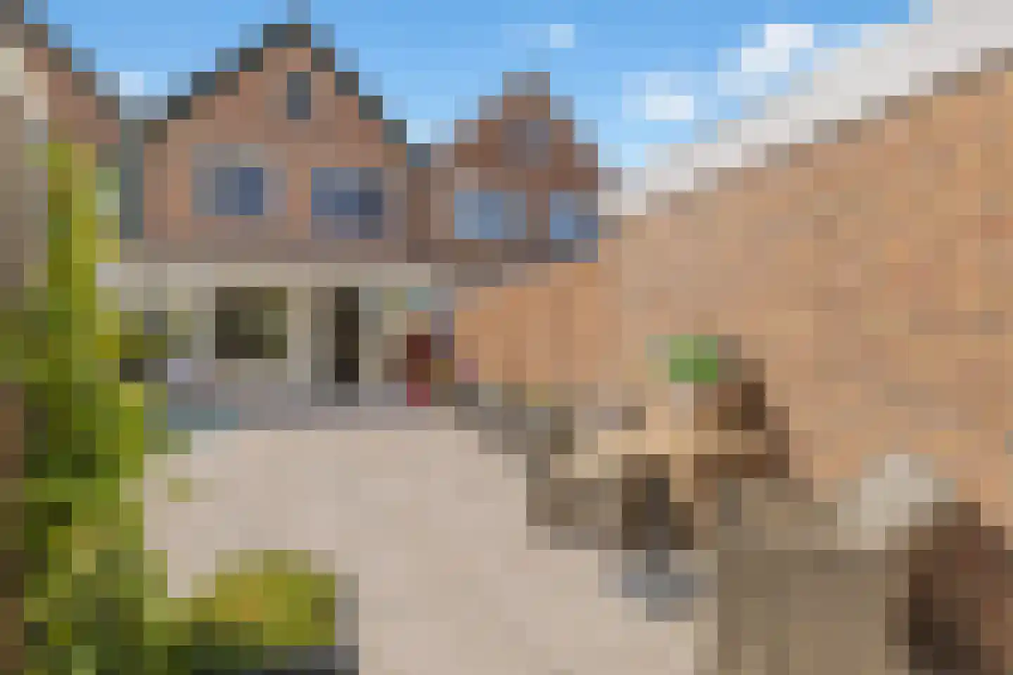 Mandenmakerslaan 128 De Meern thumbnail 15