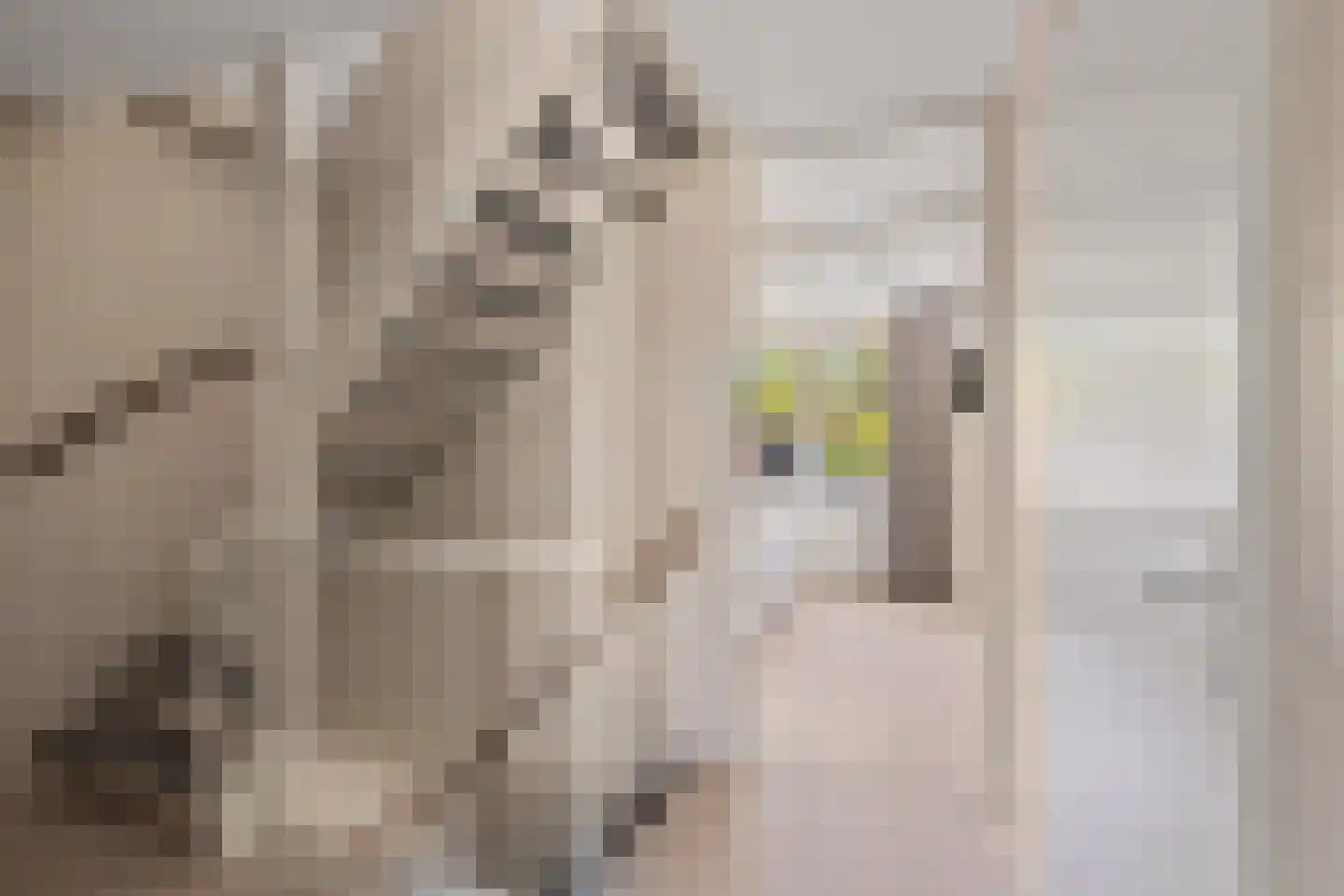 Mandenmakerslaan 128 De Meern thumbnail 27