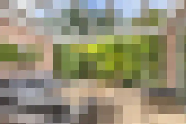 Mandenmakerslaan 27 De Meern thumbnail 22
