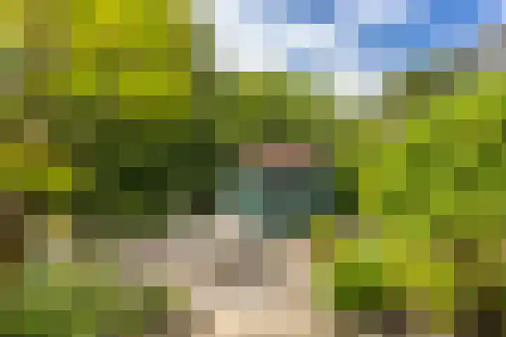 Mandenmakerslaan 27 De Meern thumbnail 28