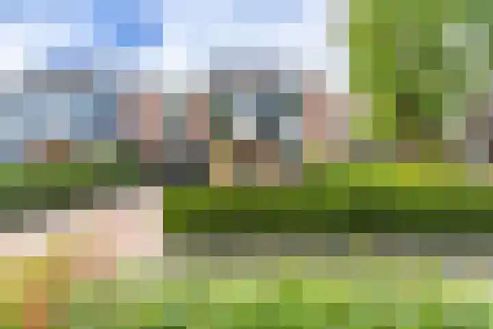 Mandenmakerslaan 27 De Meern thumbnail 51