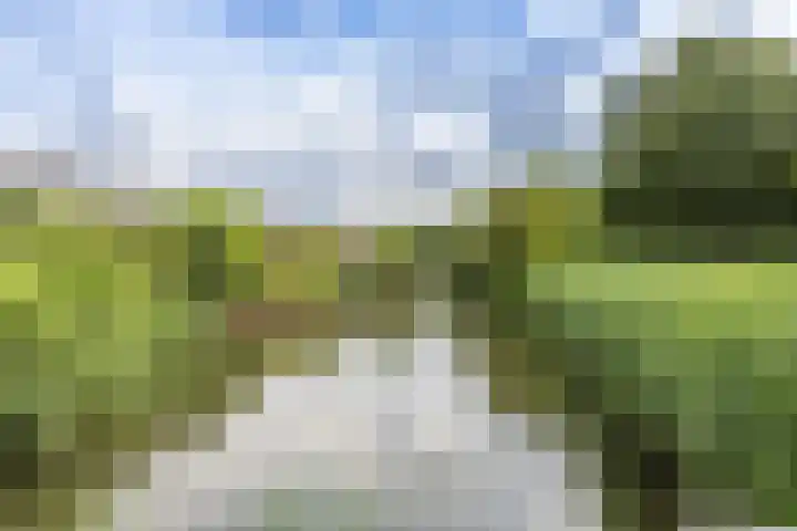 Mandenmakerslaan 27 De Meern thumbnail 52