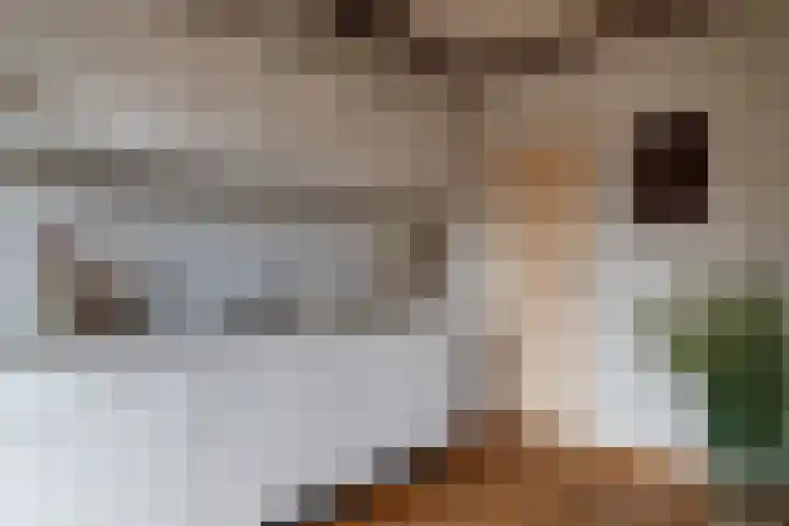 Mandenmakerslaan 34 De Meern thumbnail 11