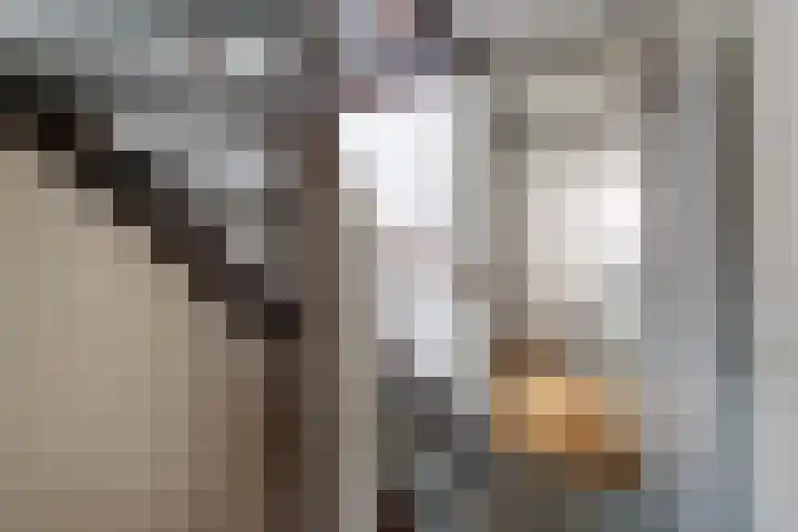 Mandenmakerslaan 34 De Meern thumbnail 20