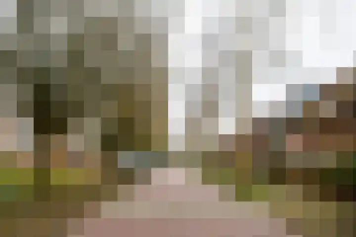 Mandenmakerslaan 34 De Meern thumbnail 27