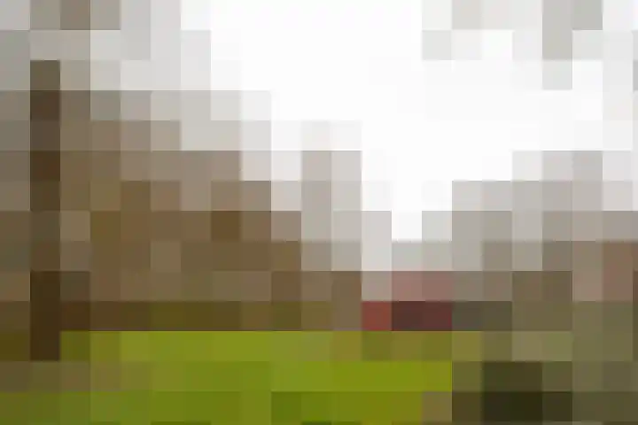 Mandenmakerslaan 34 De Meern thumbnail 28