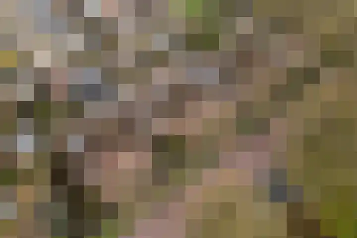 Mandenmakerslaan 34 De Meern thumbnail 30