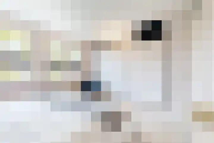 Mandenmakerslaan 50 De Meern thumbnail 15
