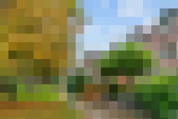 Mandenmakerslaan 50 De Meern thumbnail 30