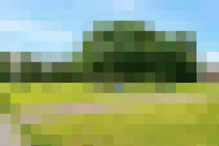 Mandenmakerslaan 50 De Meern thumbnail 33