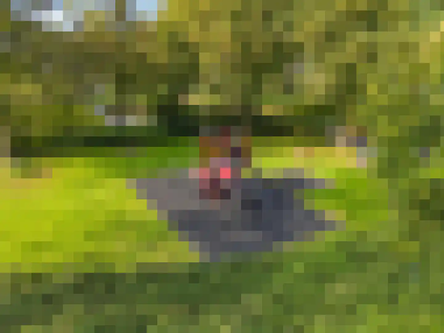 Mandenmakerslaan 84 De Meern thumbnail 37