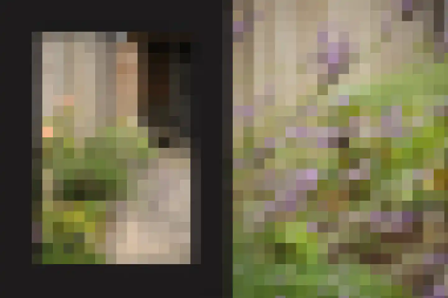 Mandenmakersstraat 28 Kerkdriel thumbnail 31
