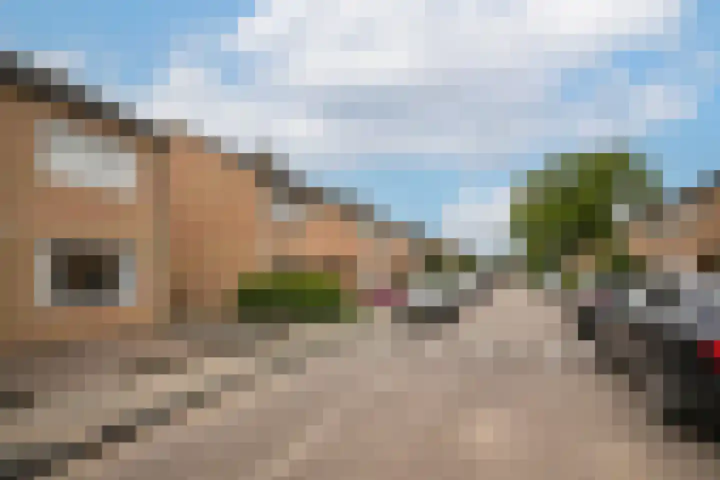 Mandenmakersstraat 28 Kerkdriel thumbnail 32