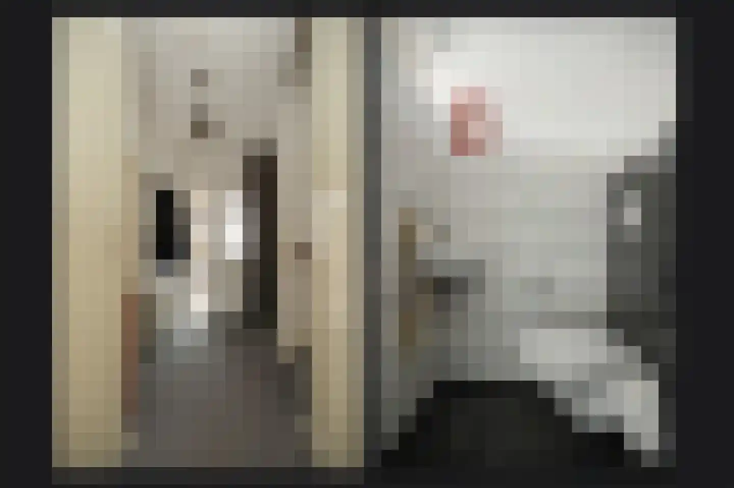 Mandenmakersstraat 28 Kerkdriel thumbnail 5