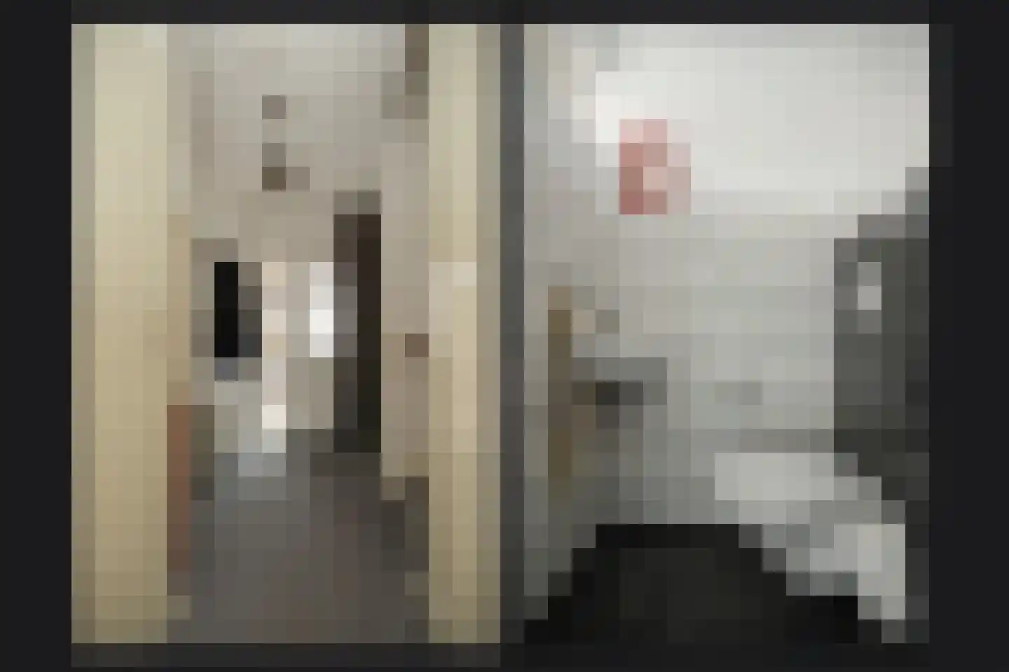 Mandenmakersstraat 28 Kerkdriel thumbnail 6