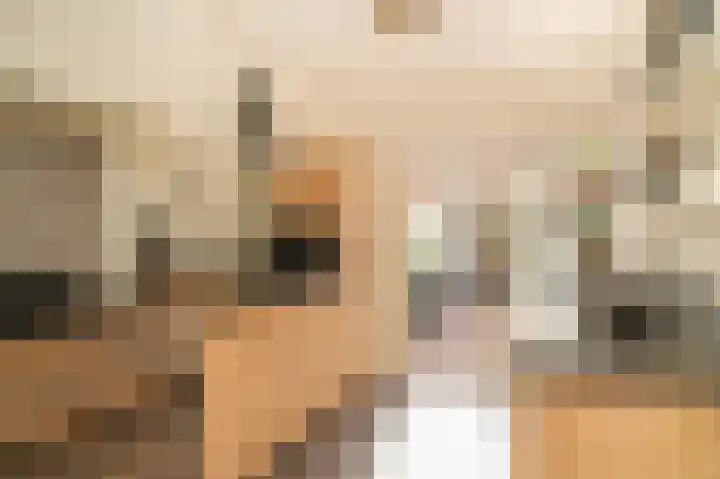 Mandenmakersstraat 4 Kerkdriel thumbnail 12