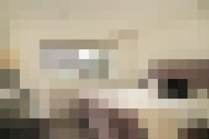 Mandenmakersstraat 4 Kerkdriel thumbnail 17