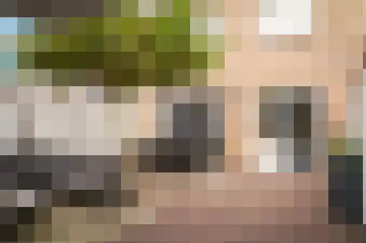 Mandenmakersstraat 4 Kerkdriel thumbnail 33