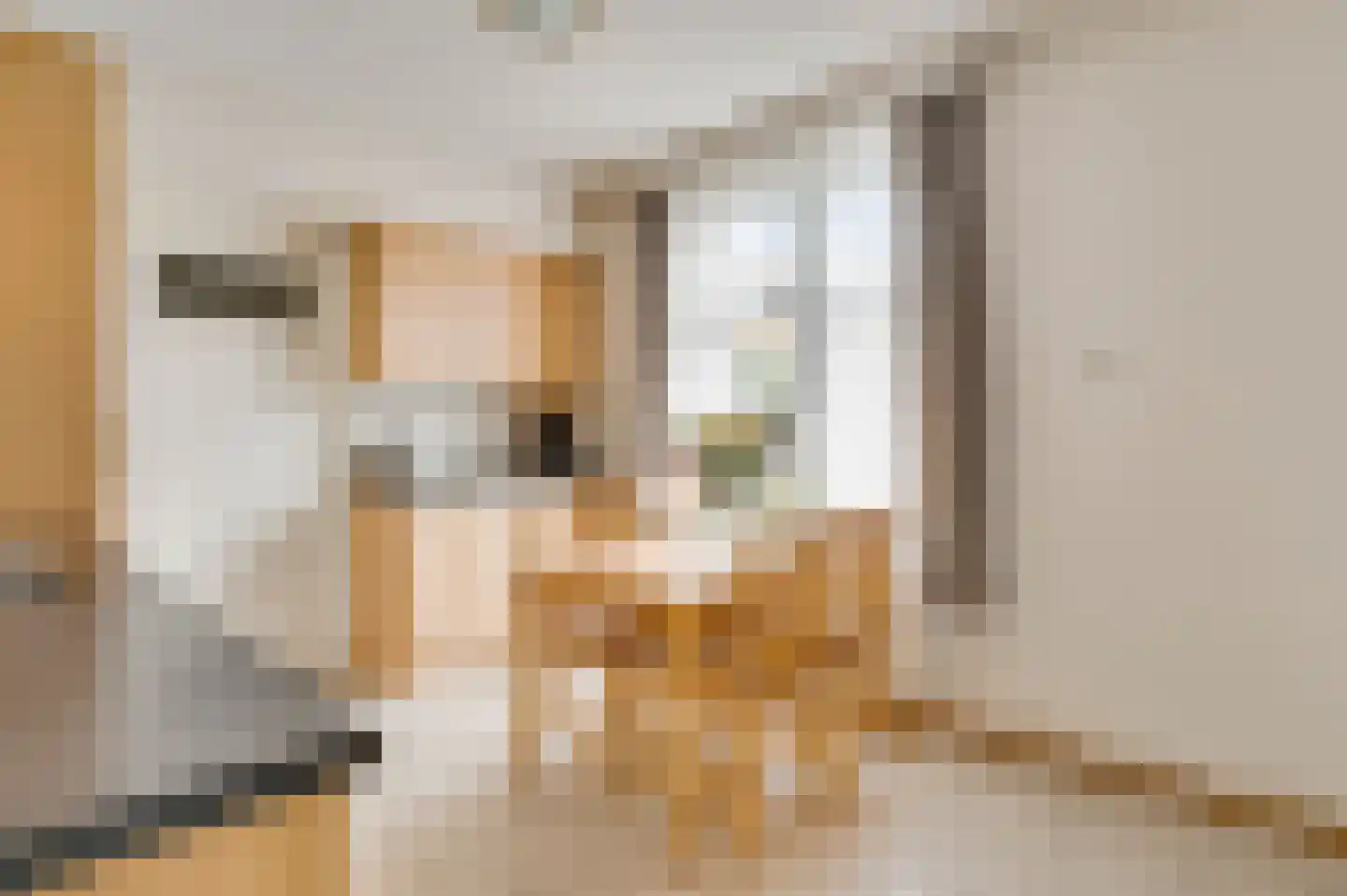 Mandenmakersstraat 8 Stevensweert thumbnail 11
