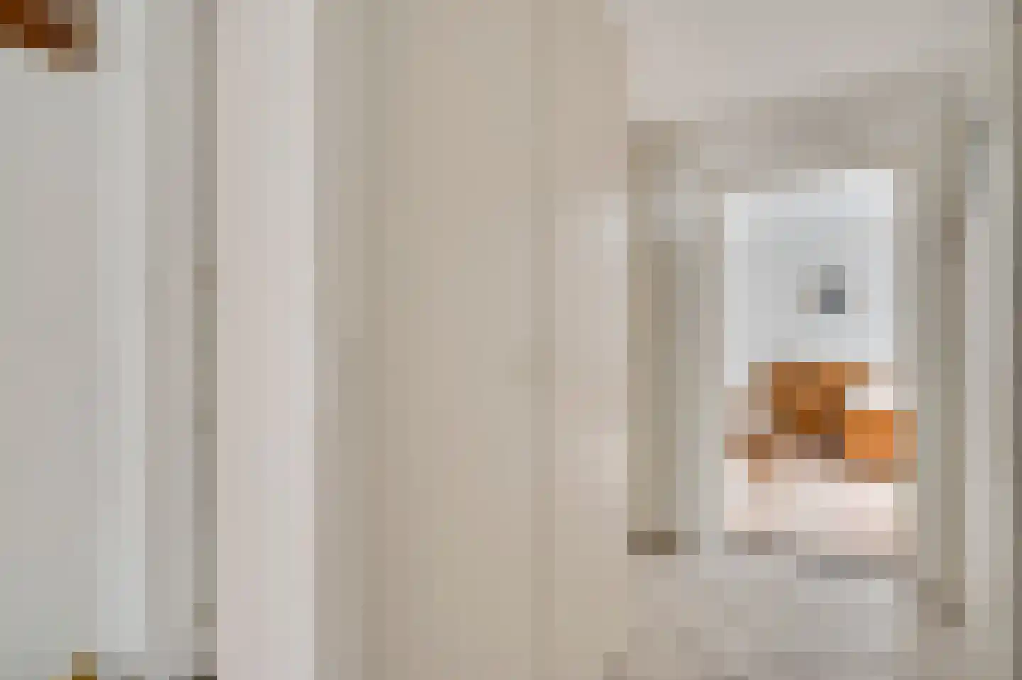 Mandenmakersstraat 8 Stevensweert thumbnail 17