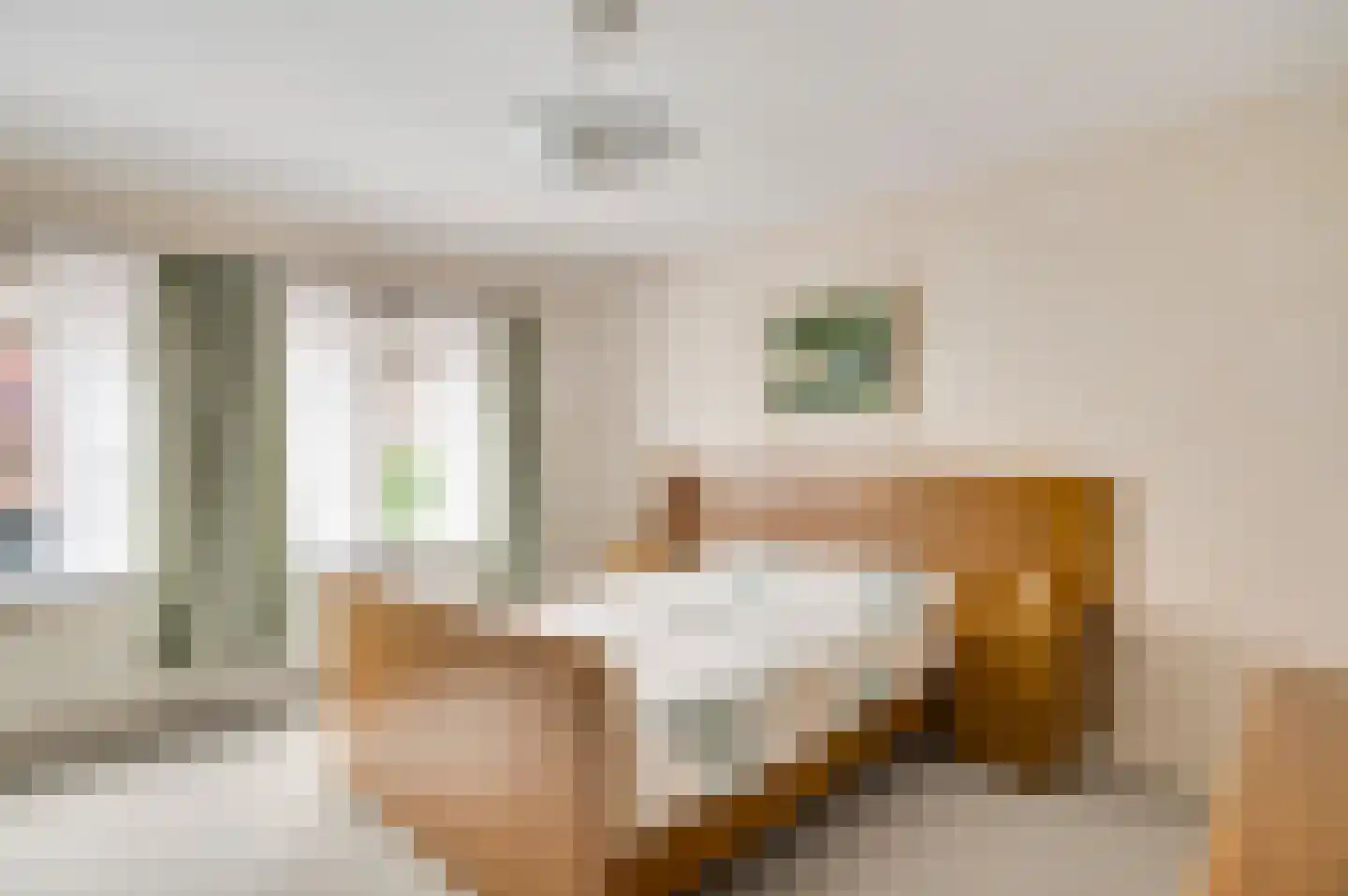 Mandenmakersstraat 8 Stevensweert thumbnail 31
