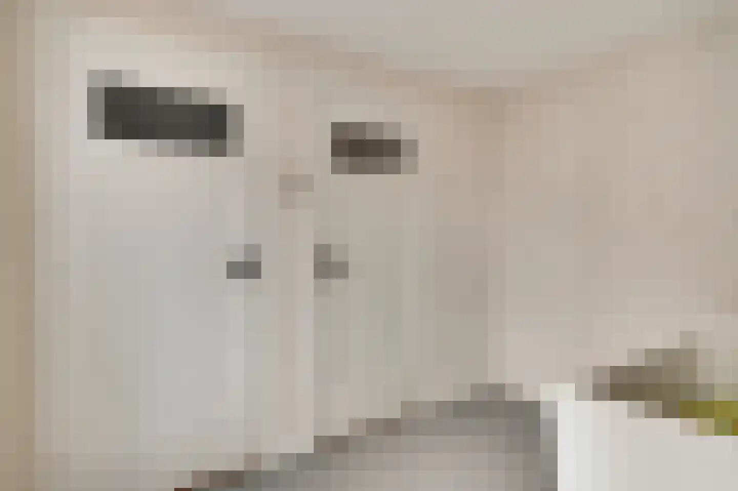 Mandenmakersstraat 8 Stevensweert thumbnail 36