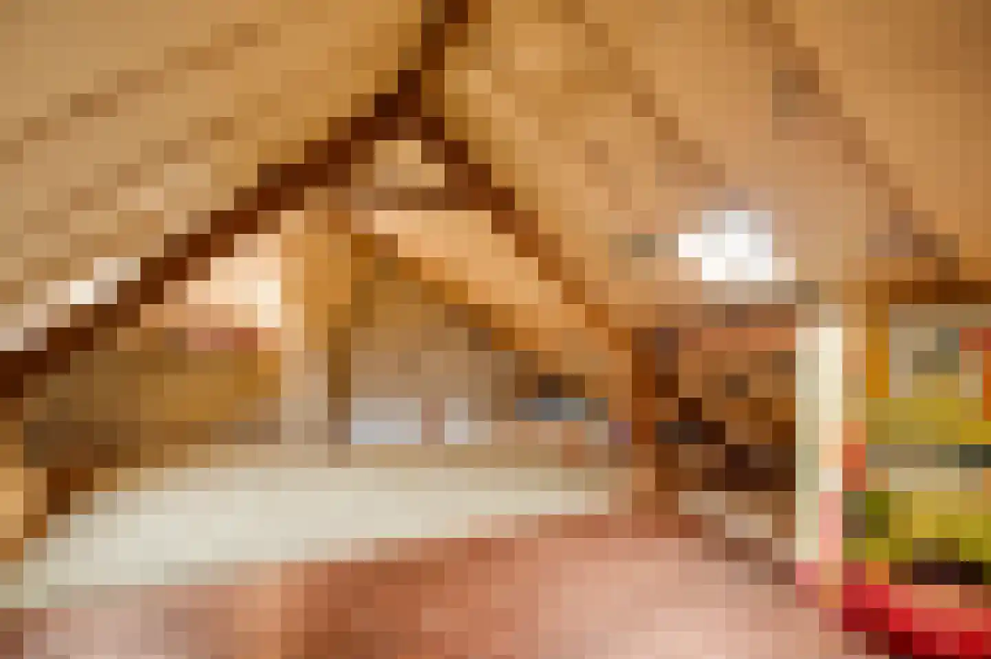 Mandenmakersstraat 8 Stevensweert thumbnail 38