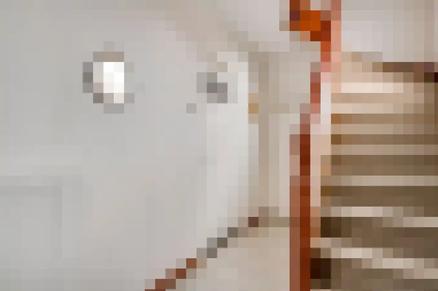 Mandenmakersstraat 8 Stevensweert thumbnail 4
