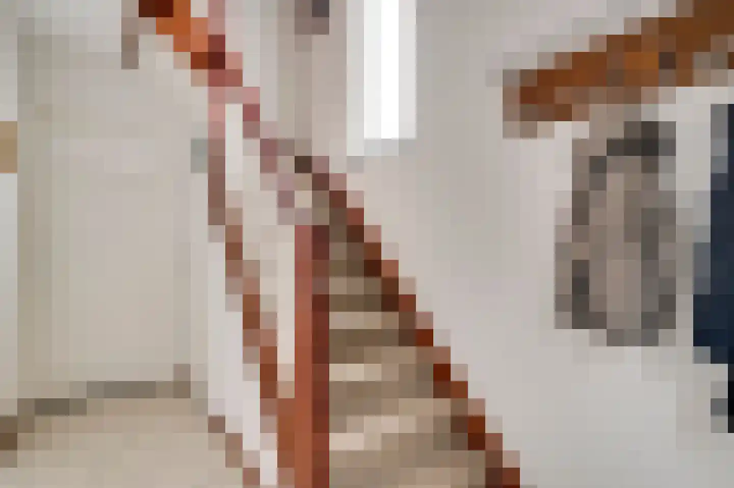 Mandenmakersstraat 8 Stevensweert thumbnail 5
