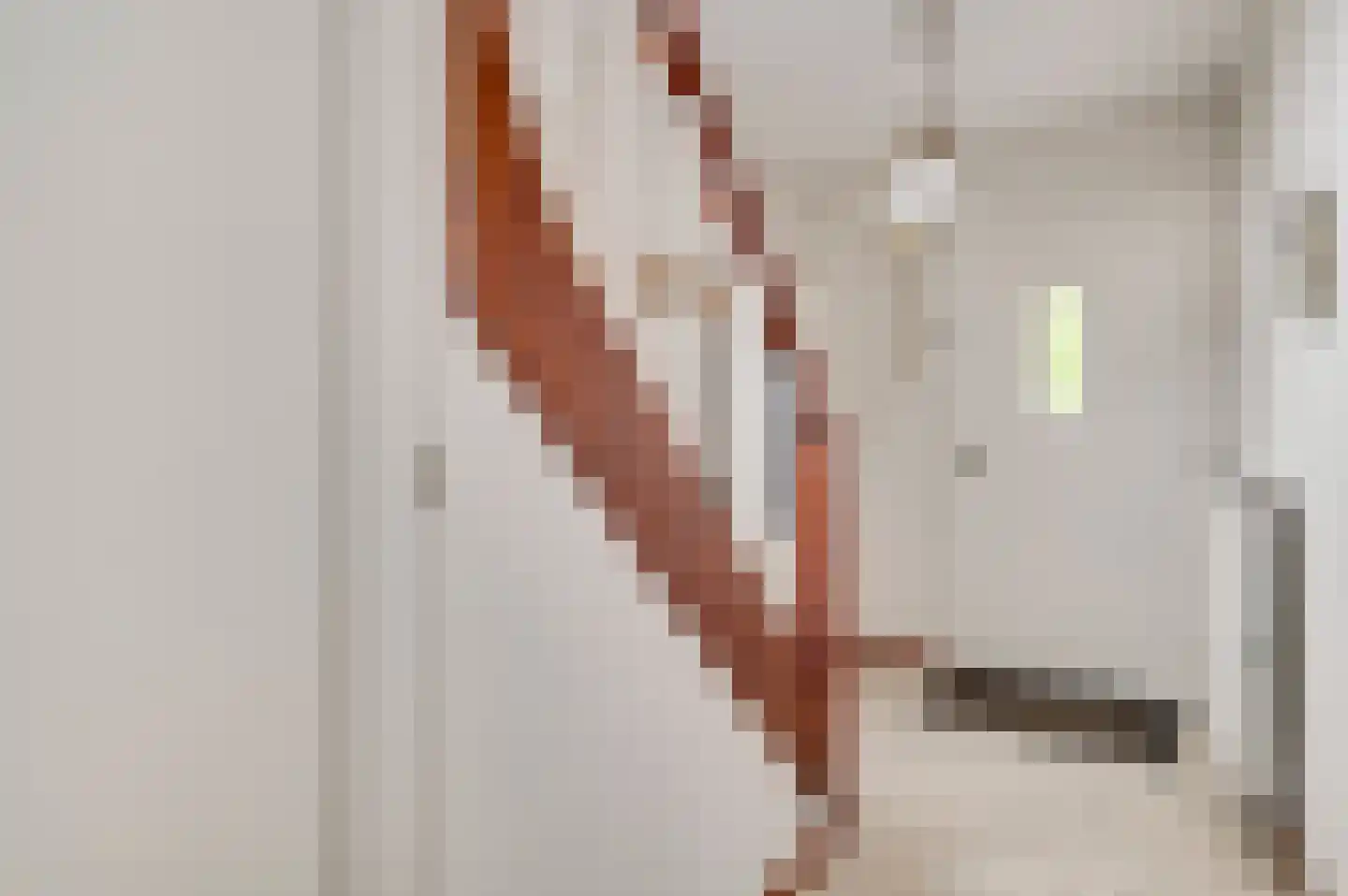 Mandenmakersstraat 8 Stevensweert thumbnail 6