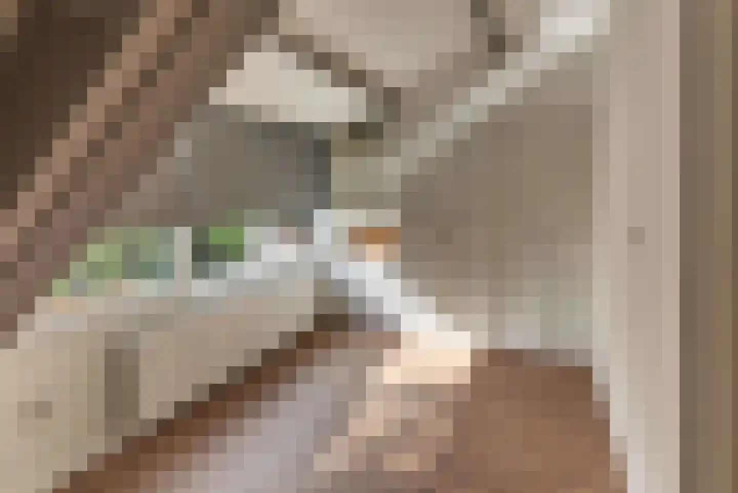 Mandenmakerstraat 119 Harderwijk thumbnail 27