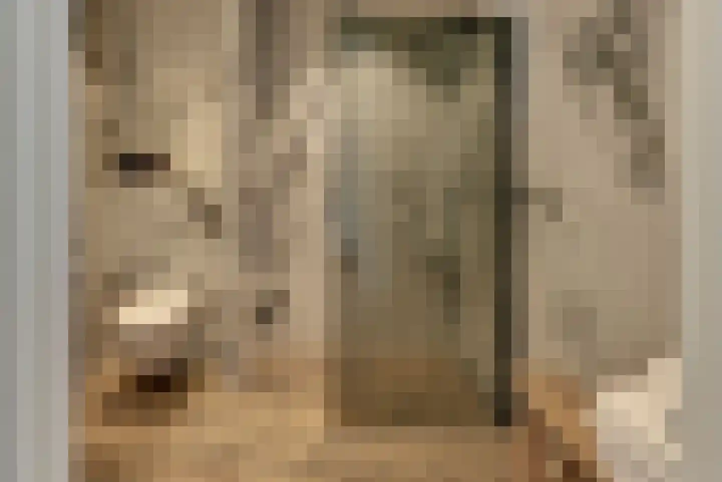 Mandenmakerstraat 119 Harderwijk thumbnail 5