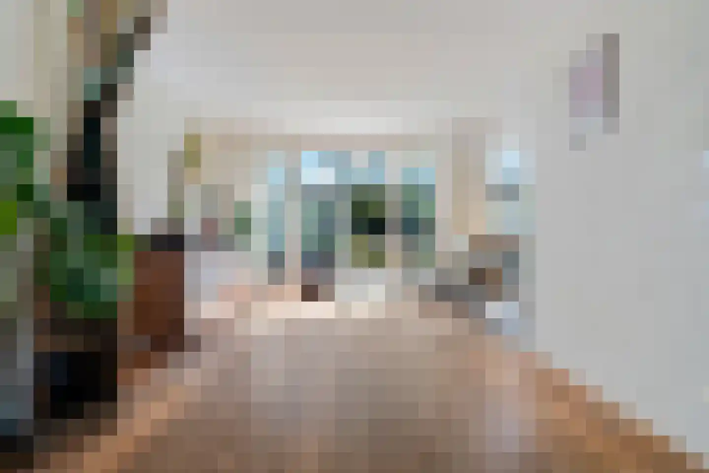 Mandenmakerstraat 125 Harderwijk thumbnail 17