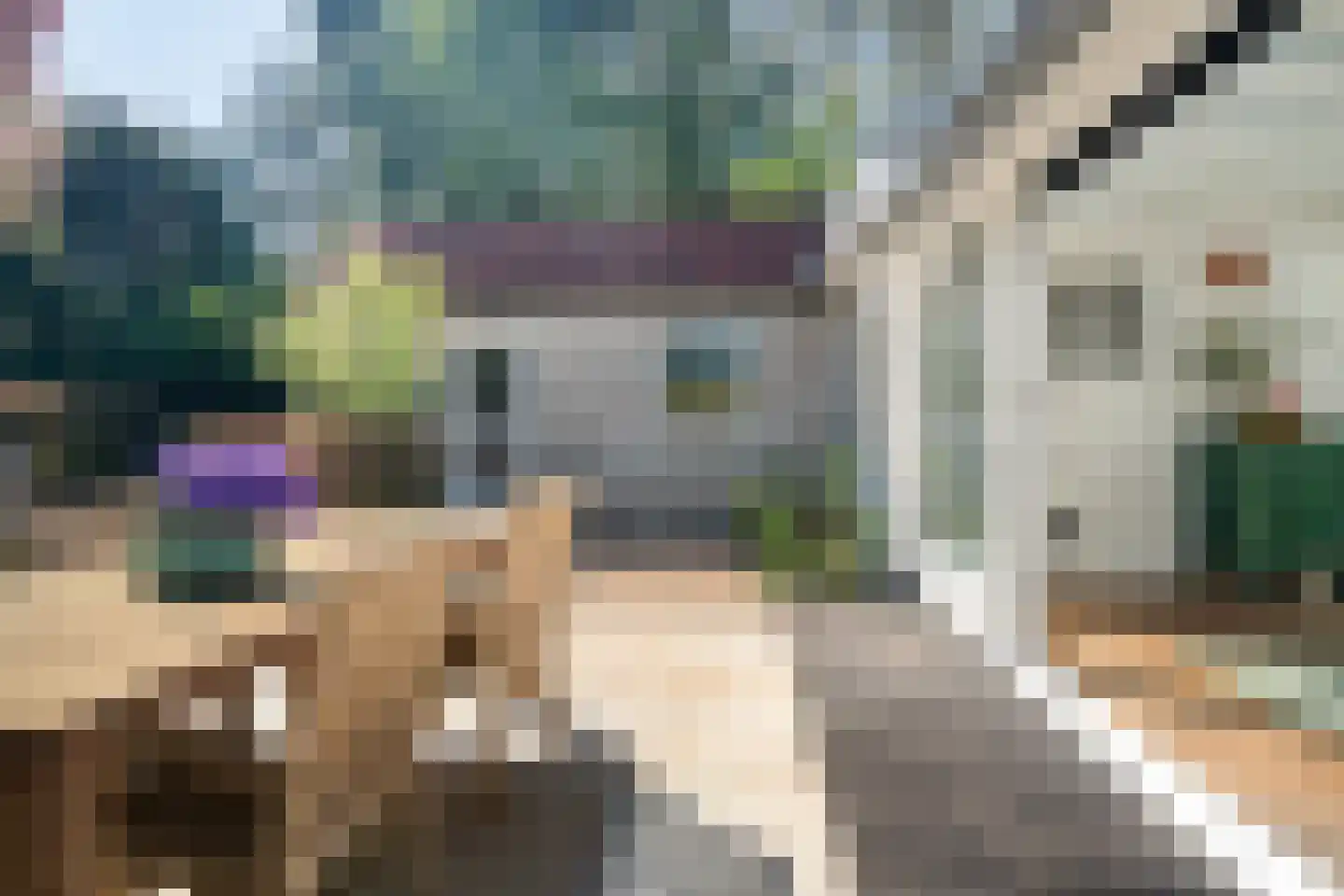 Mandenmakerstraat 125 Harderwijk thumbnail 40