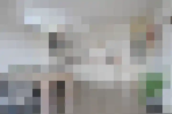 Mandenmakerstraat 151 Harderwijk thumbnail 11