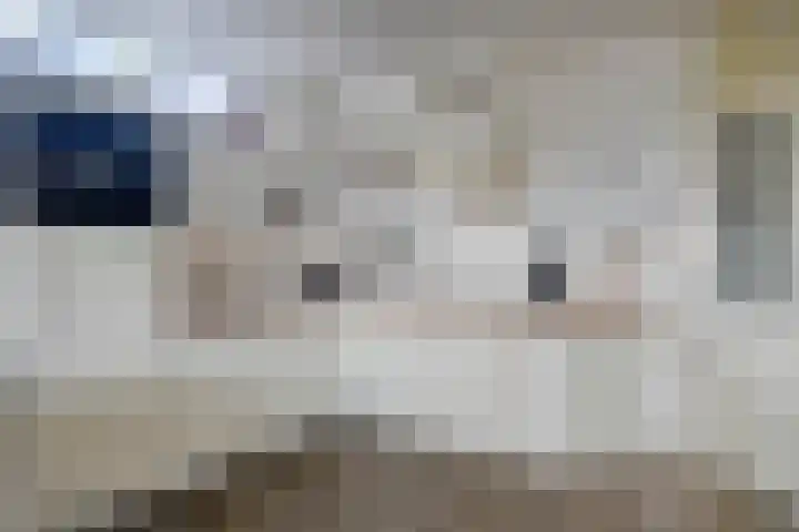 Mandenmakerstraat 151 Harderwijk thumbnail 12