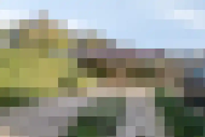 Mandenmakerstraat 151 Harderwijk thumbnail 4