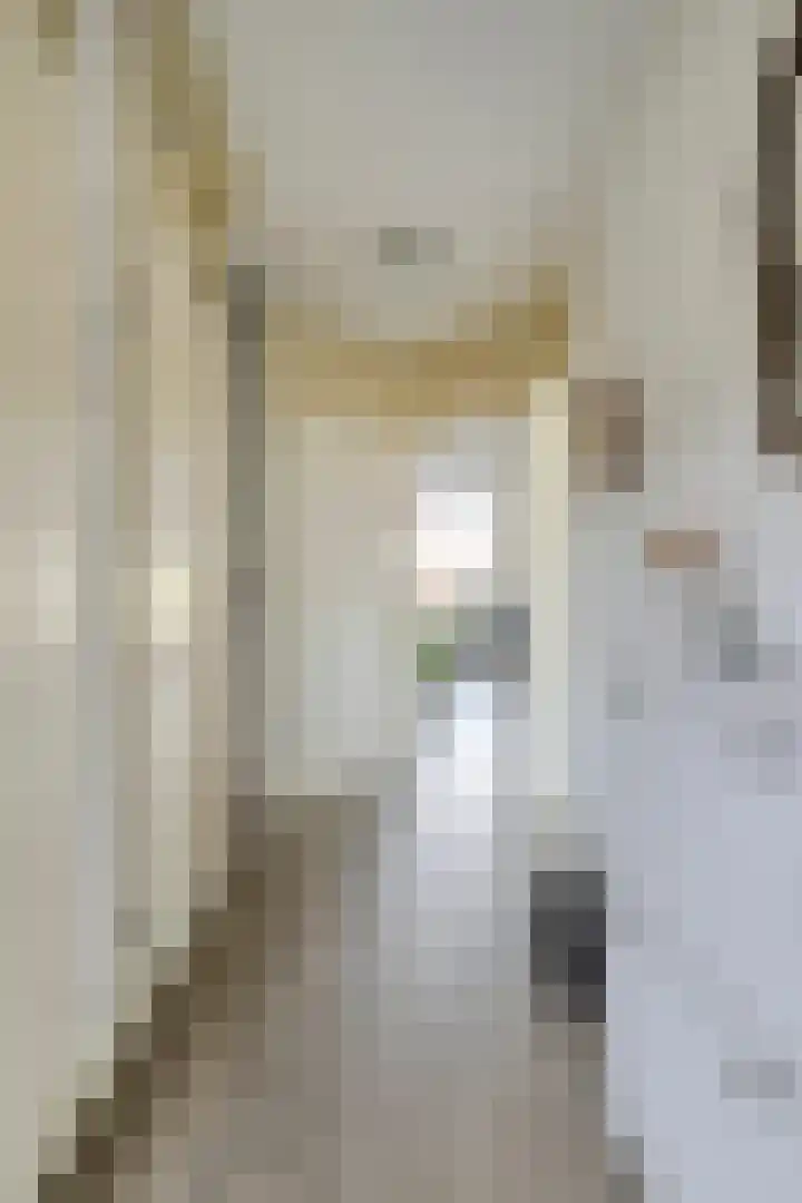 Mandenmakerstraat 151 Harderwijk thumbnail 6