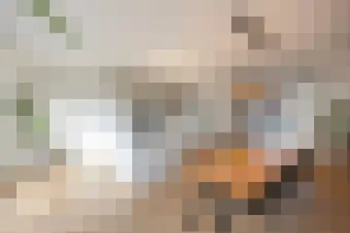 Mandenmakerstraat 28 Echt thumbnail 11