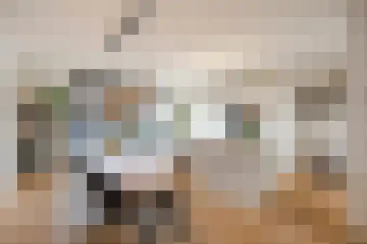Mandenmakerstraat 28 Echt thumbnail 20