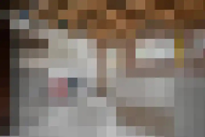 Mandenmakerstraat 28 Echt thumbnail 27