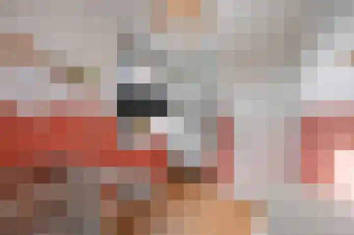 Mandenmakerstraat 28 Echt thumbnail 36